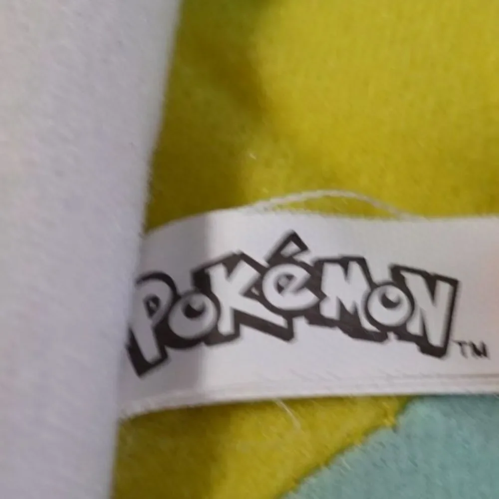 Pokemon Squirtle 15